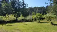 View 50