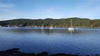 View 64