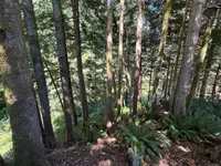 View 33