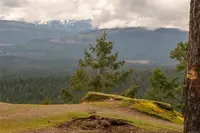 View 36