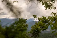 View 35