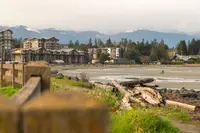 View 42
