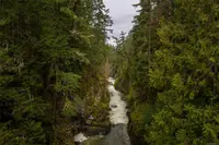 View 37