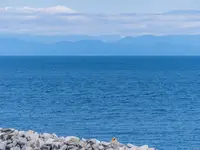 View 36