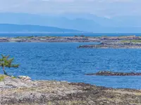 View 37