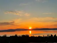 View 58