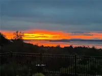 View 60