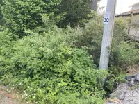 View 11
