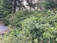 View 4