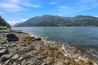 View 48