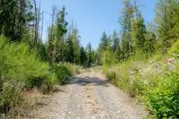 View 30
