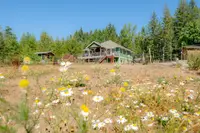View 49