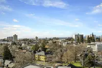 View 25