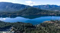 View 15