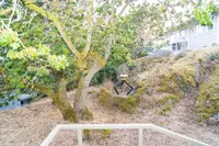 View 30