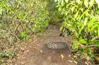 View 39