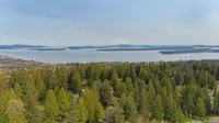 View 57