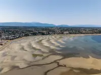 View 42