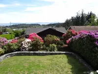 View 4