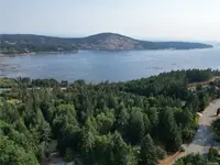 View 61