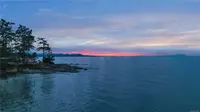 View 55