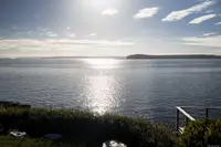 View 50