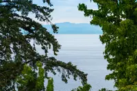 View 74