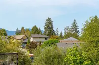 View 21