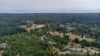 View 81