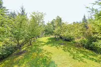 View 31