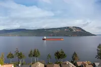 View 32