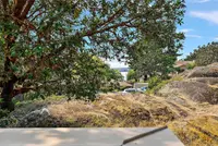 View 14