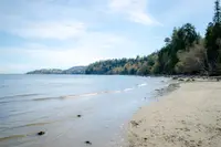 View 49