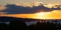 View 41