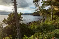 View 42