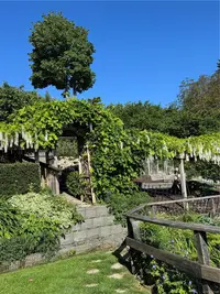 View 53