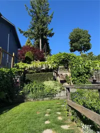 View 55