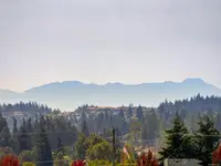 View 21