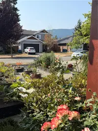 View 25