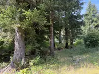 View 10