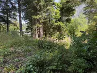 View 14