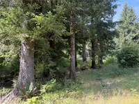 View 11