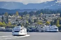View 50