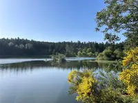 View 40