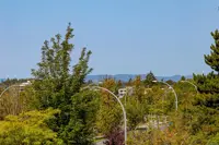 View 31