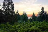 View 21