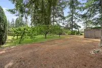 View 39