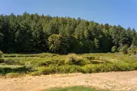 View 57