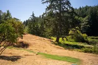 View 28