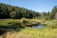 View 14